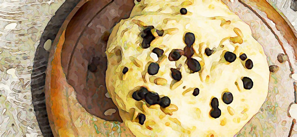 Panettone Der Original Panettone